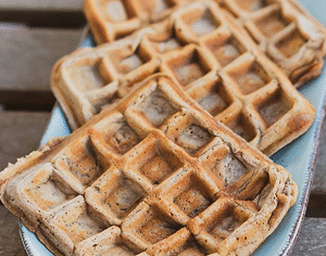 High Protein Waffle